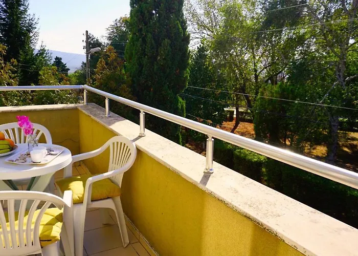 резидънс - Byala Complex *